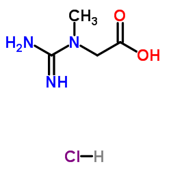CAS: 17050-09-8|Creatine HCl