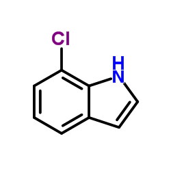 CAS: 53924-05-3|7-Chloroindole