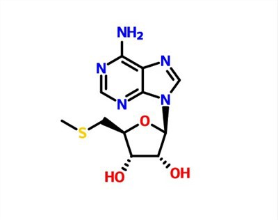 CAS: 2457-80-9 5'-S-methyl-5'-thioadenosine