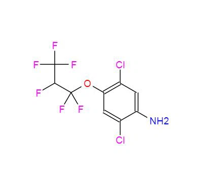 CAS:103015-84-5丨2,5-Dichloro-4-(1,1,2,3,3,3-hexafluoropropoxy)benzenamine