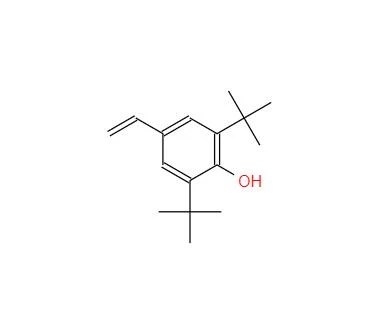 CAS: 19263-36-6丨2, 6-ditert-butyl-4-vinylphenol