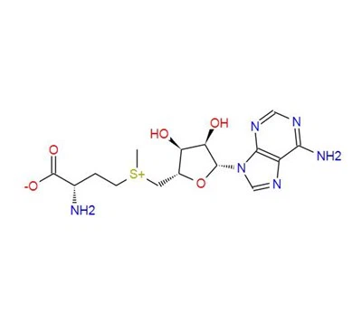 CAS: 29908-03-0 丨S-Adenosyl-L-methionine