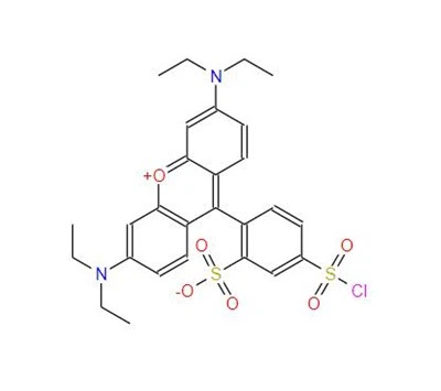 CAS: 62796-29-6LISSAMINE RHODAMINE B SULFONYL chloride